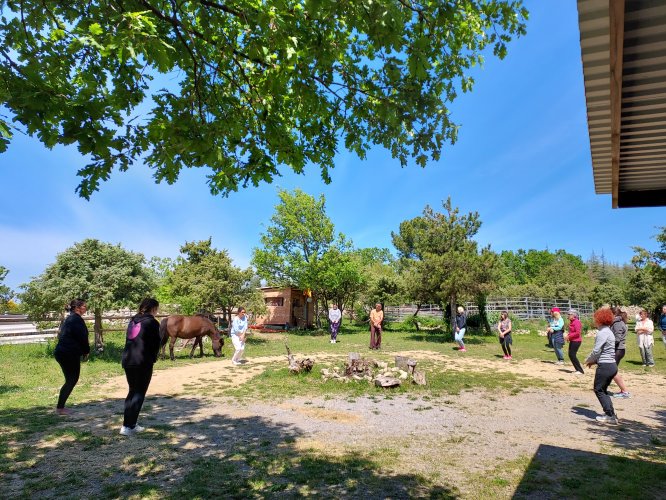 Qi Gong avec les chevaux en liberté, animé par Léa Lo Pinto du Chant de Cinabre